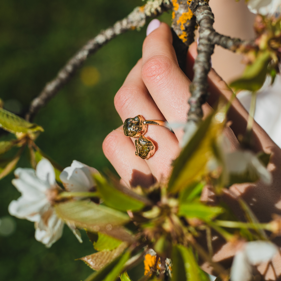ANELLO PEPITE DI VITAE DOPPIO